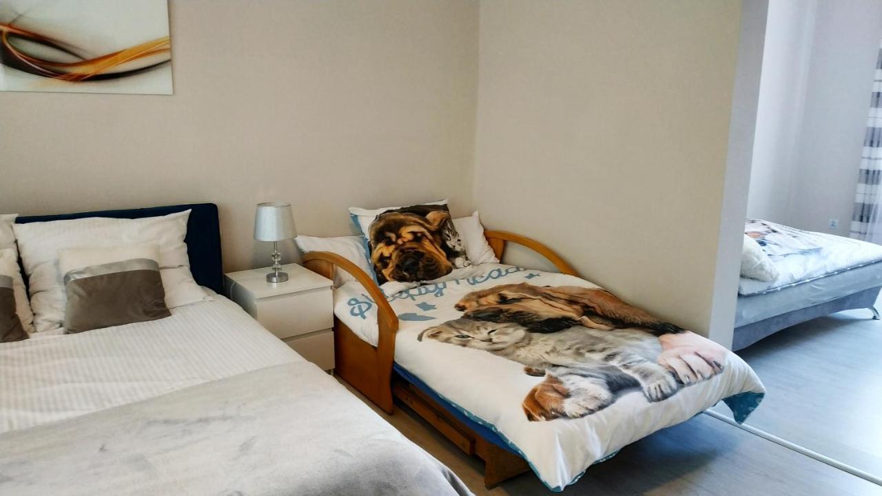 Apartment Goscinne Na Szlaku Zloty Stok
